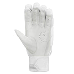 DSC XLITE L.E (with pittard) BATTING GLOVES 24