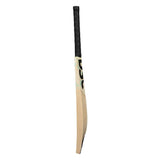 DSC XLITE XLR8 ENGLISH WILLOW CRICKET BAT 24