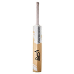 KOOKABURRA GHOST PRO 8.0 '22 KASHMIR WILLOW CRICKET BAT JUNIOR