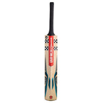 GRAY-NICOLLS VAPOUR STRIKE KASHMIR WILLOW CRICKET BAT JUNIOR