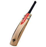 GRAY-NICOLLS ULTIMATE CRICKET BAT 23