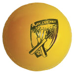 PLAY CRICKET POLY SOFT BALL