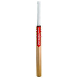 GRAY-NICOLLS TECHNIQUE TRAINING BAT KASHMIR WILLOW