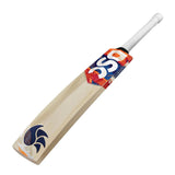 DSC KRUNCH 700 ENGLISH WILLOW CRICKET BAT 24