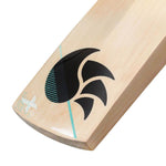 DSC XLITE XLR8 ENGLISH WILLOW CRICKET BAT 24