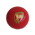 PLAY CRICKET POLY SOFT BALL