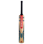 GRAY-NICOLLS VAPOUR 500 ENGLISH WILLOW CRICKET BAT