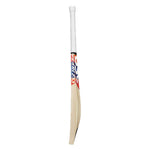 DSC KRUNCH 700 ENGLISH WILLOW CRICKET BAT 24