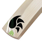 DSC SPLIIT SURGE ENGLISH WILLOW CRICKET BAT 24