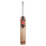 GUNN & MOORE RADON SELECT TTN ENGLISH WILLOW BAT JUNIOR 24