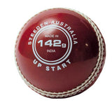 STEEDEN UP START SEMI SOFT CRICKET BALLS