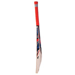 CA PLUS 5000 ENGLISH WILLOW CRICKET BAT