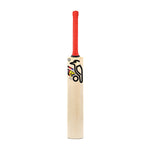 KOOKABURRA BEAST PRO 6.0 ENGLISH WILLOW CRICKET BAT JUNIOR