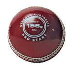 STEEDEN PRO START HARD PLASTIC CRICKET BALLS