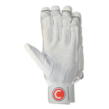 COUNTY INTERNATIONAL CRICKET BATTING GLOVES