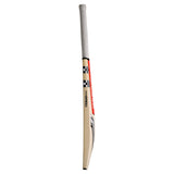 GRAY-NICOLLS NOVA XE KASHMIR WILLOW CRICKET BAT JUNIOR