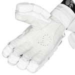 DSC XLITE L.E (with pittard) BATTING GLOVES 24