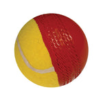 GRAY-NICOLLS GN CRICKET SWING TRAINING / FUN BALL