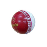 STEEDEN KICK START HARD CRICKET BALLS