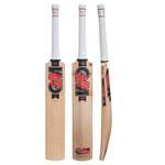 GUNN & MOORE RADON SELECT TTN ENGLISH WILLOW BAT JUNIOR 24