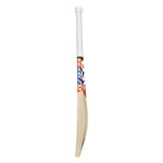 DSC KRUNCH CHAOS ENGLISH WILLOW CRICKET BAT 24