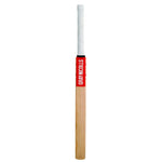 GRAY-NICOLLS TECHNIQUE TRAINING BAT KASHMIR WILLOW