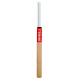 GRAY-NICOLLS TECHNIQUE TRAINING BAT KASHMIR WILLOW