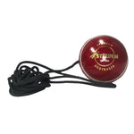 STEEDEN LEATHER TRAINING BALL ON A STRING